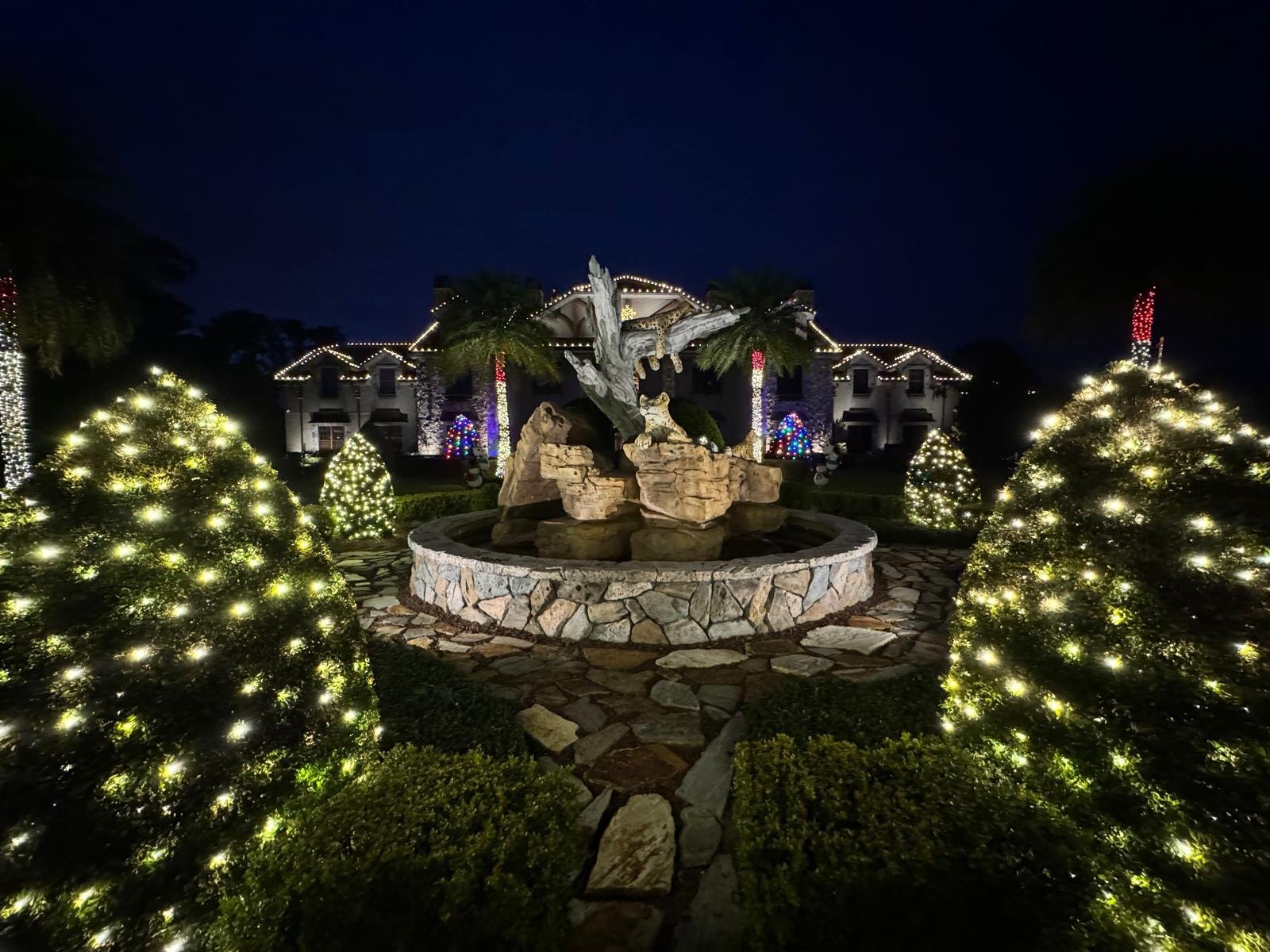 Northern Lights Florida lighting project 21